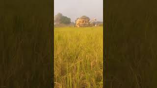 Haryana ka Jaatyoutube strunt farming subscribe [upl. by Debi]