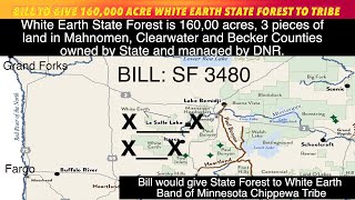 Proposal To Give 160000 Acre White Earth State Forest To Tribe Concerns Among Lake Property Owners [upl. by Porcia]