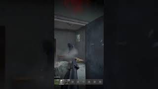 TOP DAYZ TIP Always Conserve Ammo in a FIGHT dayz gaming pvp [upl. by Tesler]