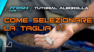 TUTORIAL ALBORELLA  COME SELEZIONARE LA TAGLIA NELLA PESCA ALL ALBORELLA [upl. by Abel]