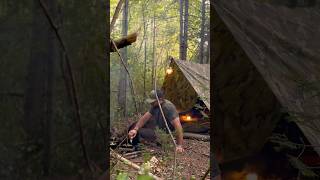 WILD camping using AFrame tarp shelter wildcamping camping survival bushcraft outdoorcamping [upl. by Leumel]