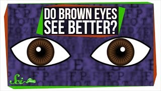 Do Brown Eyes See Better [upl. by Boccaj]