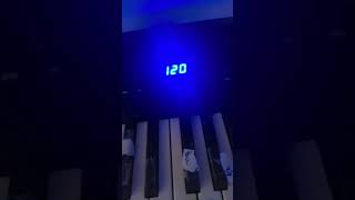 61 Keyboard Notes Piano [upl. by Royall360]