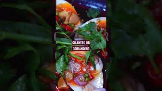 Cilantro vs Coriander what is the difference [upl. by Faustus]