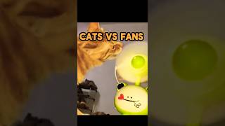 CATS VERSUS FANS CATS FUNNYCATS SHORTS [upl. by Guss785]