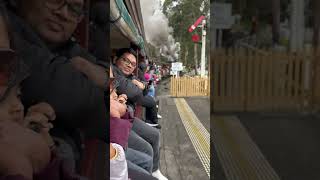 huffing puffingbilly rail nature travel train [upl. by Nogras]