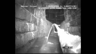 Sewer creature spotted by United Utilities sewer camera [upl. by Yentihw559]