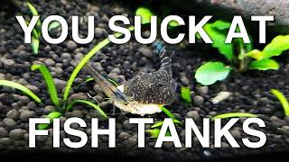 How to make the BEST Fish Tank  YSAFT [upl. by Newlin]