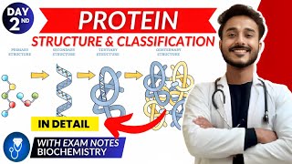 protein biochemistry  structure of protein biochemistry  classification of protein [upl. by Sivad]