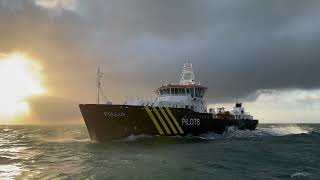 Pollux loodsvaartuig Nederlands Loodswezen [upl. by Attenol]