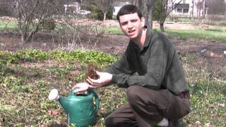 How to Plant and Care for Astilbe [upl. by Nebe]