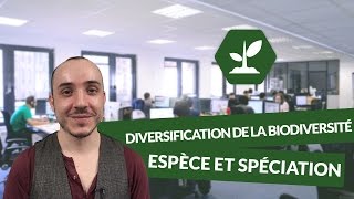 Diversification de la biodiversité  espèce et spéciation  SVT  TS  digiSchool [upl. by Hecker]