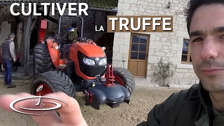 La Truffe visite de lexploitation de Serge Desazars  12  2017 [upl. by Norda]