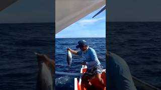 Catching skipjack tuna fishingtipsandtechniques fishing bestfishingtechniques fishingmethods [upl. by Wenn]