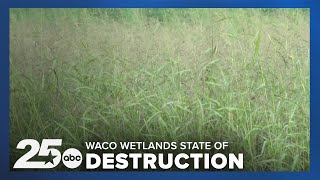 Lake Waco Wetlands in state of destruction as the area celebrates its 20th anniversary [upl. by Inoy]