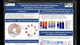 Integrative Analysis of Histone Modifications TF Binding and  Alan Brown  Poster  GLBIO 2024 [upl. by Evanthe]