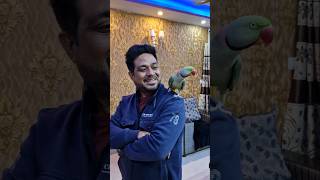 Pablo Parrot Papa ka Beta ❤️ 😍 shorts parrot funny cute [upl. by Solon]