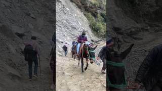 Kedarnath shortvideo short [upl. by Thornburg]