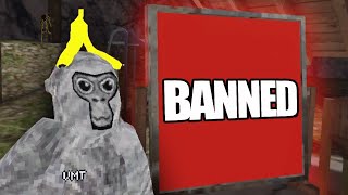 I Got Banned From Gorilla Tag VR Not Alone [upl. by Ttnerb]