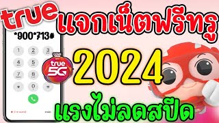 แจกเน็ตฟรีทรู ตัวล่าสุด 2024 ใช้งานได้จริง 10GB แรงๆ เน็ตไม่อั้น ไม่ลดสปีด รีบกดดูเลย [upl. by Julietta60]