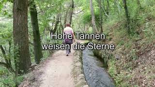 Hohe Tannen  KaraokeVersion [upl. by Reste791]