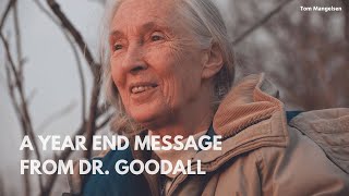 A Year End Message From Dr Goodall [upl. by Emmalyn]