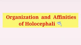 Holocephali  General character  Organisation and Affinities of Holocephali in Hindi amp English [upl. by Aranahs760]