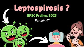 Leptospirosis l Bacteria l UPSC l TGPSC l తెలుగులో [upl. by Eelan498]