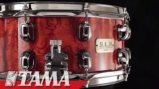 TAMA SLP GBubinga Snare Drum [upl. by Renraw843]