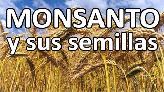 Monsanto y sus semillas [upl. by Jermaine]