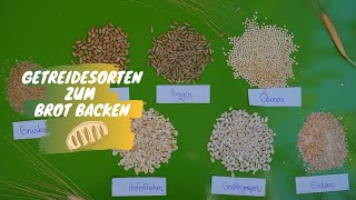 Welche Getreidesorten eignen sich zum Brot backen  mit Dagmar von Cramm [upl. by Susette796]