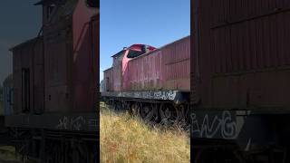 Abandoned trains Germany shorts short abandoned history urbex lostplace train locomotive [upl. by Claudina353]