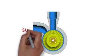 Regenerative Turbine Pump vs Centrifugal Pump [upl. by Eyllek]