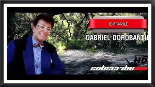 Gabriel Dorobantu  Iertarile [upl. by Annehs]