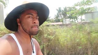 Caye Caulker Belize Travel Guide belize travelvlog [upl. by Pouncey]