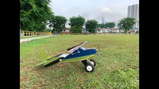 BUSCHTROTTEL RC PLANE HARD LANDINGS [upl. by Noirod793]