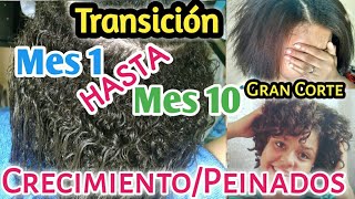 MI TRANSICIÓN CAPILAR  Mes X Mes  GRAN CORTE [upl. by Clemmie203]