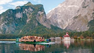 Almabtrieb Berchtesgaden Koenigssee [upl. by Dnomder]