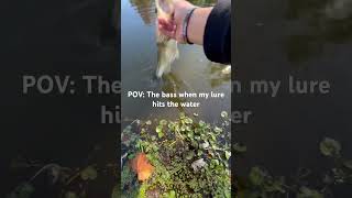 The bass when my lure hits the water fishing [upl. by Liakim]