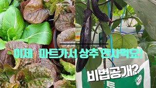 솔림배양토 유튜브 등장 흙의 자유를 얻다 [upl. by Gudrin606]