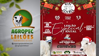 Agropecleiloescom LEILÃO ESPECIAL DE NATAL  REAL LEILÕES  PORTO NACIONAL  TO 05122023 [upl. by Notrab]