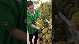 Durian heaven The Most Popular Durian Store in Malacca Malaysia  Fruit Cutting Skills [upl. by Mateusz]