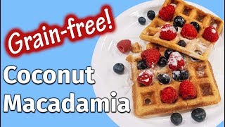 Coconut Macadamia Waffles  Keto  Plant Paradox [upl. by Chilcote]