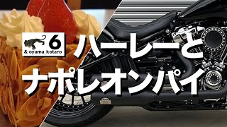 6【ハーレーと東京スイーツを】骨董通りのナポレオンパイを食べてきた 4K [upl. by Claudette]