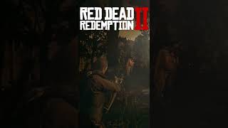 RDR2 Cougar attack rdr2 reddeaddredemption arthurmorgan rdrgameplay rdr2cougar shorts [upl. by O'Carroll221]