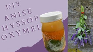 DIY Anise Hyssop Oxymel  How to Make an Oxymel  DIY Hyssop Oxymel  Beginner Herbalism [upl. by Aja]