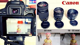 50mm vs 55250mm vs 1855mm with Canon 200d mark ii in hindi [upl. by Rollecnahc799]