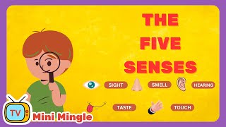 The Five Senses  5 Senses Organs Names  Educational Videos For Kids [upl. by Ruelle]