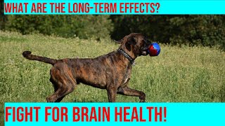 Boxers Is There a Risk of Neurological Issues [upl. by Miof Mela]