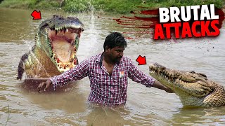 The Most BRUTAL Crocodile Attacks MARATHON [upl. by Field788]